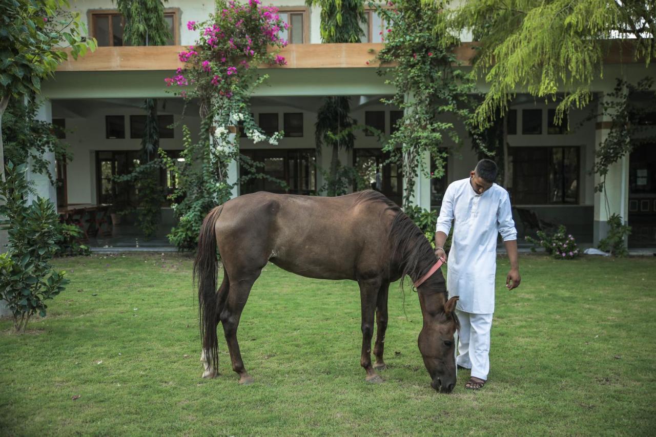 Pushkarorganic - Lux Farm Resort With Pool Bagian luar foto