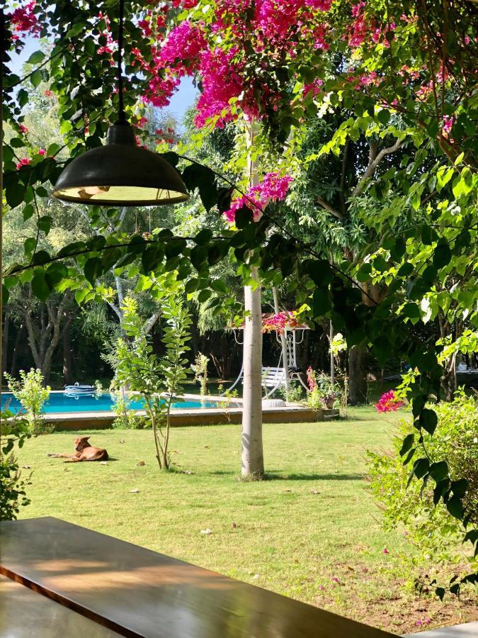 Pushkarorganic - Lux Farm Resort With Pool Bagian luar foto