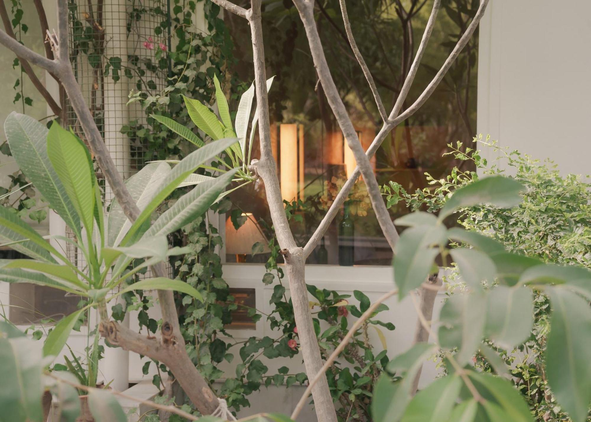 Pushkarorganic - Lux Farm Resort With Pool Bagian luar foto